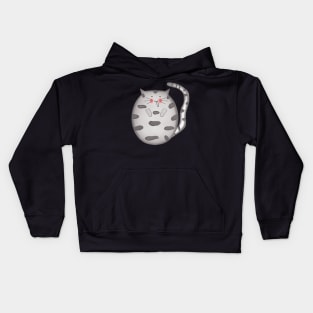 Cute fat cat sleeping Kids Hoodie